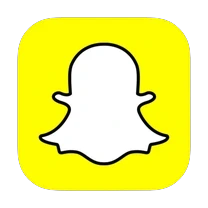 Revealsnap Logo Revealsnap